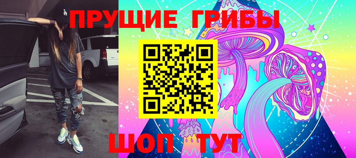 Псилоцибиновые грибы GOLDEN TEACHER Семилуки